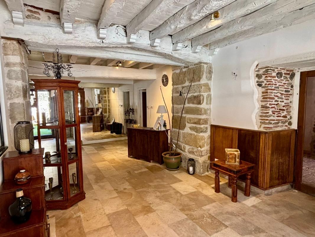 7 bedroom hotel particulier in Mirepoix, Ariège, France