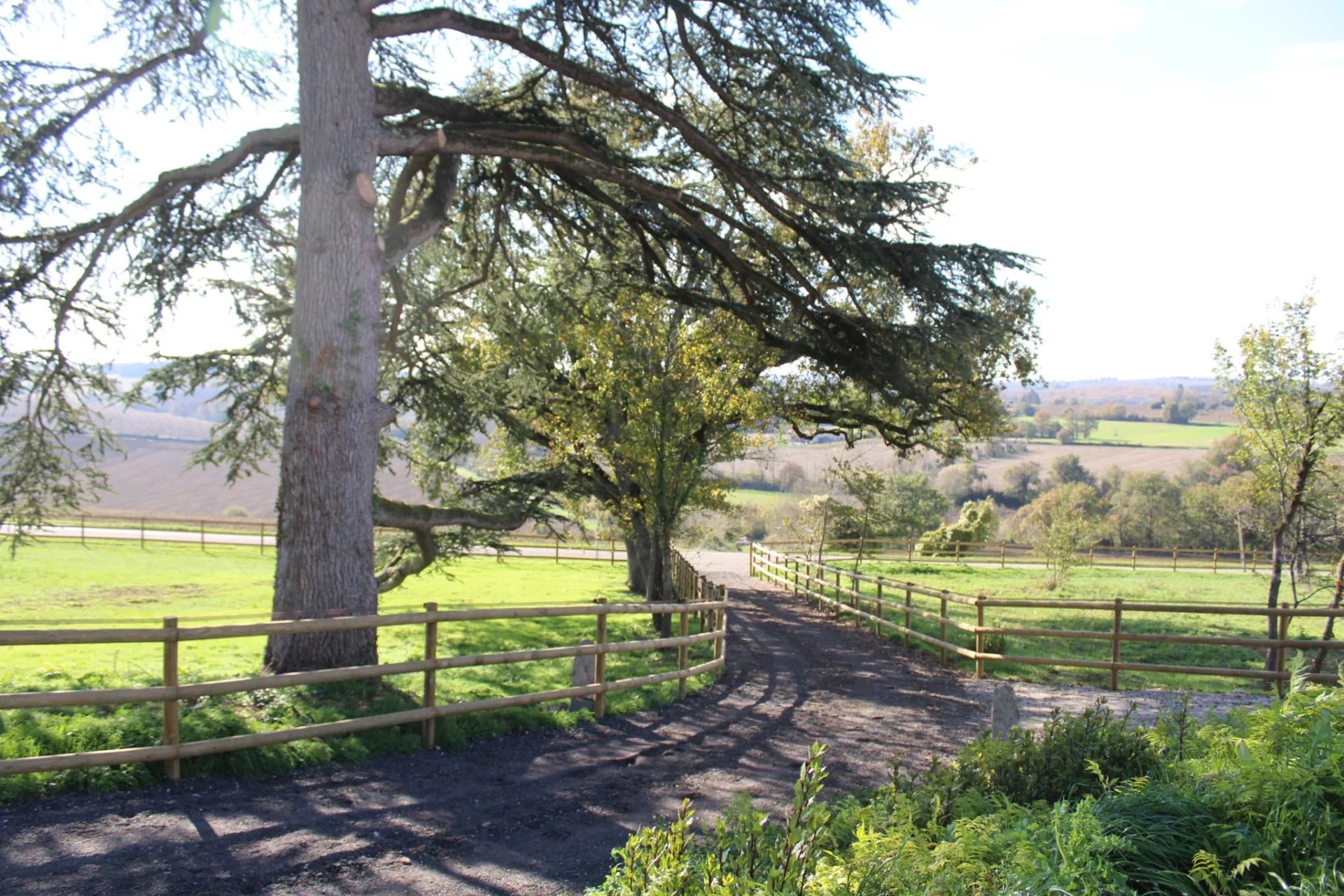 Prestigious Equestrian Estate between Toulouse, Bordeaux and Agen, Aquitaine – France – BVI68906