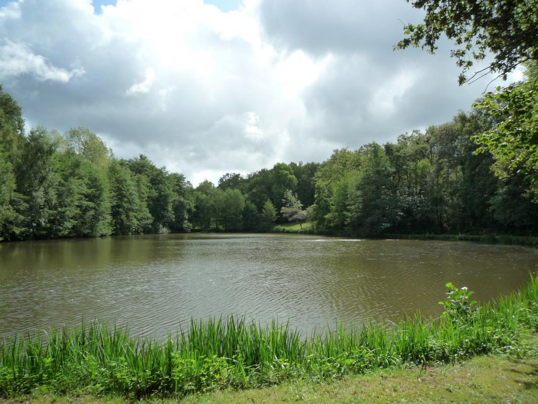 terrain in Juillac, Corrèze, France