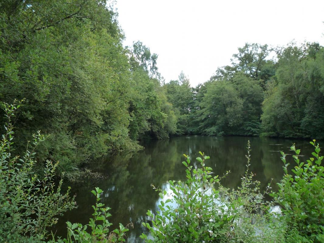 terrain in Juillac, Corrèze, France