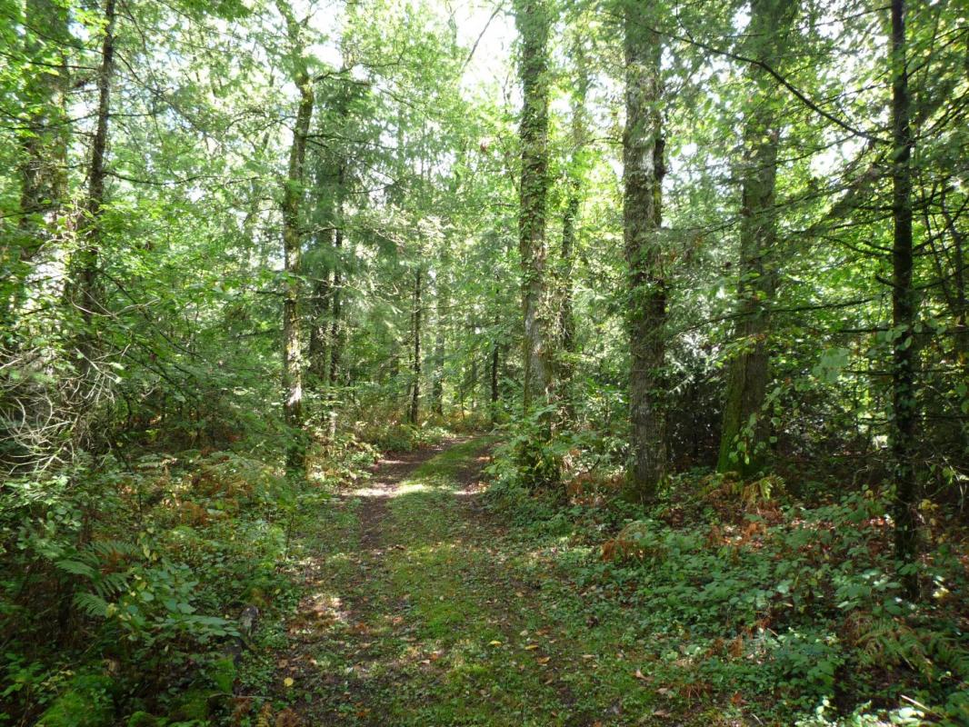 terrain in Juillac, Corrèze, France