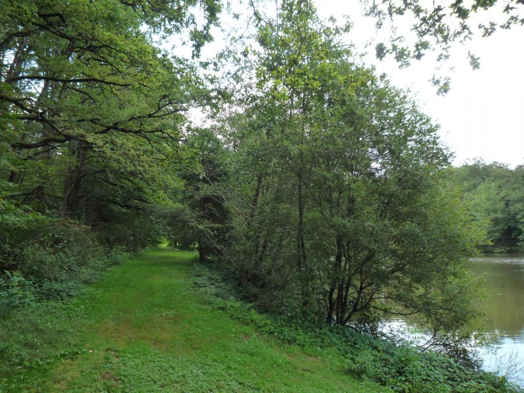 terrain in Juillac, Corrèze, France