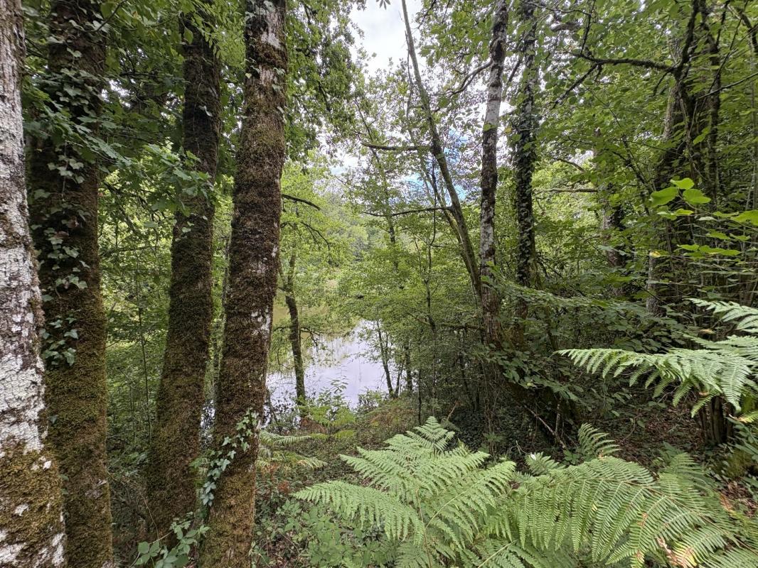 terrain in Juillac, Corrèze, France