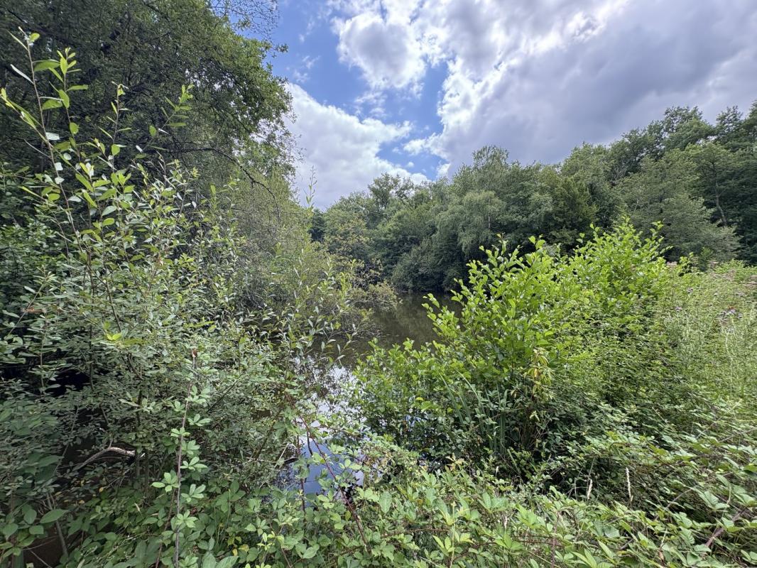 terrain in Juillac, Corrèze, France