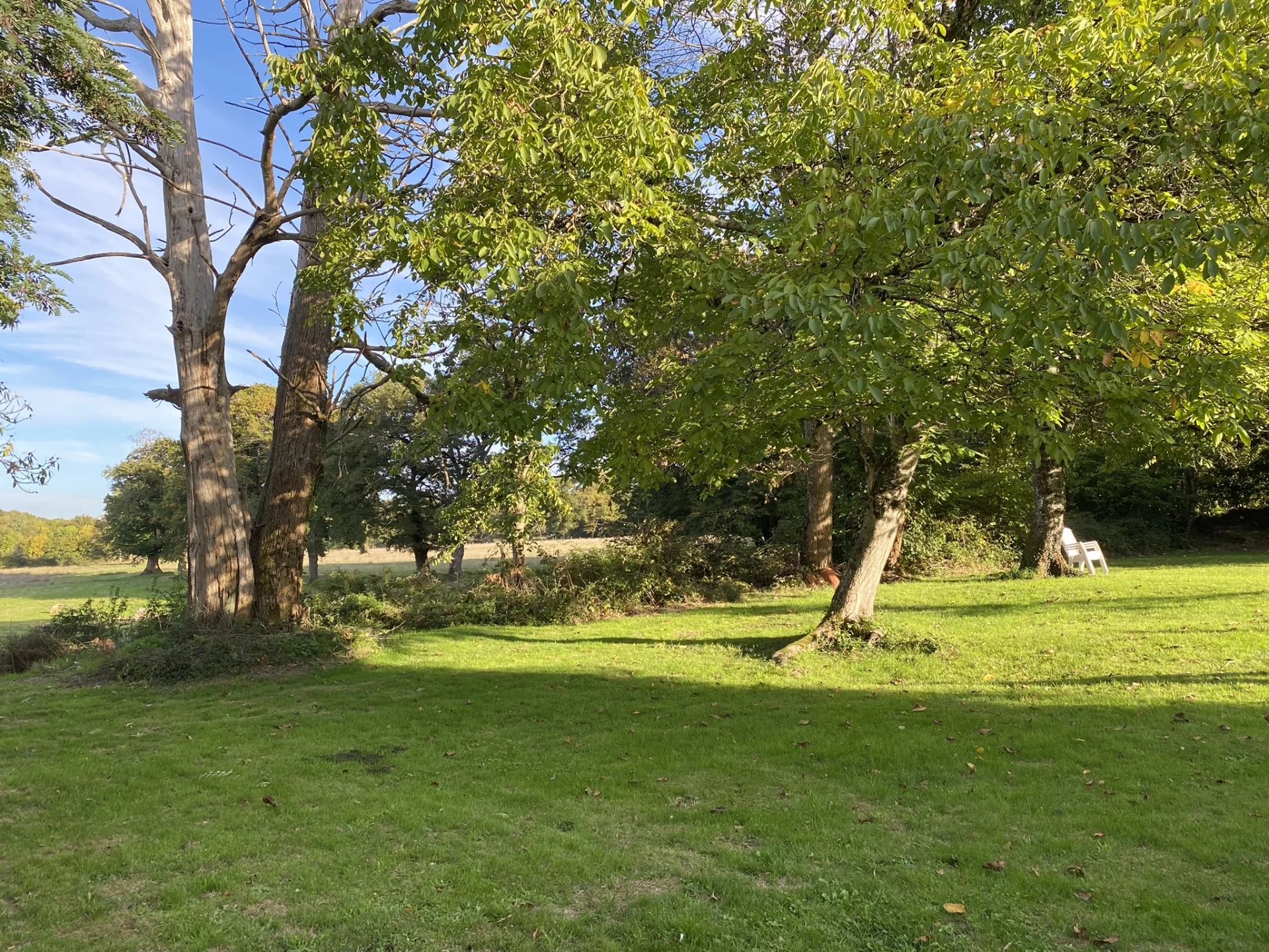 Two houses in a lovely hamlet of Bussière Poitevine with income potential, Limousin – France – BVI82392