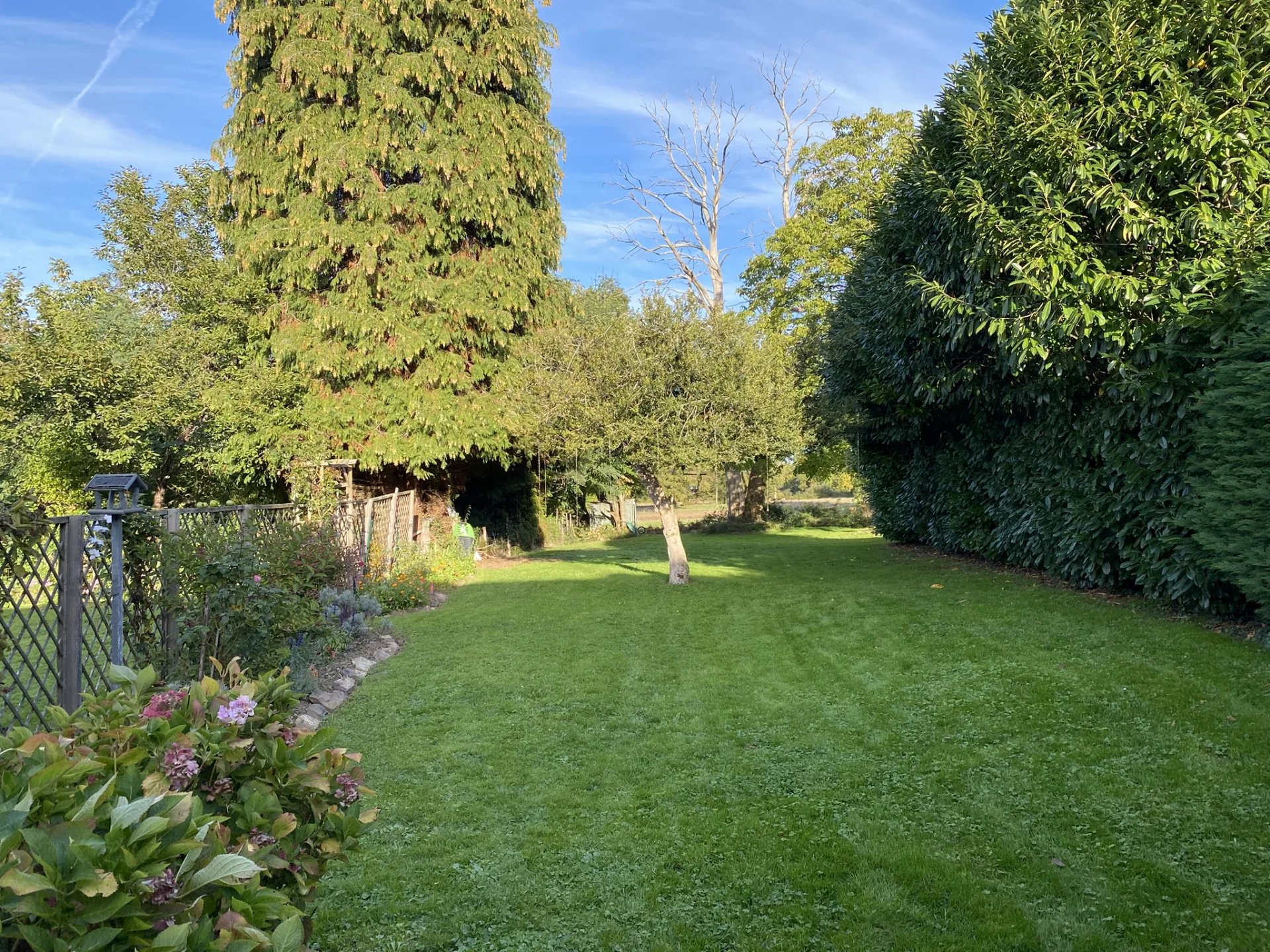 Two houses in a lovely hamlet of Bussière Poitevine with income potential, Limousin – France – BVI82392