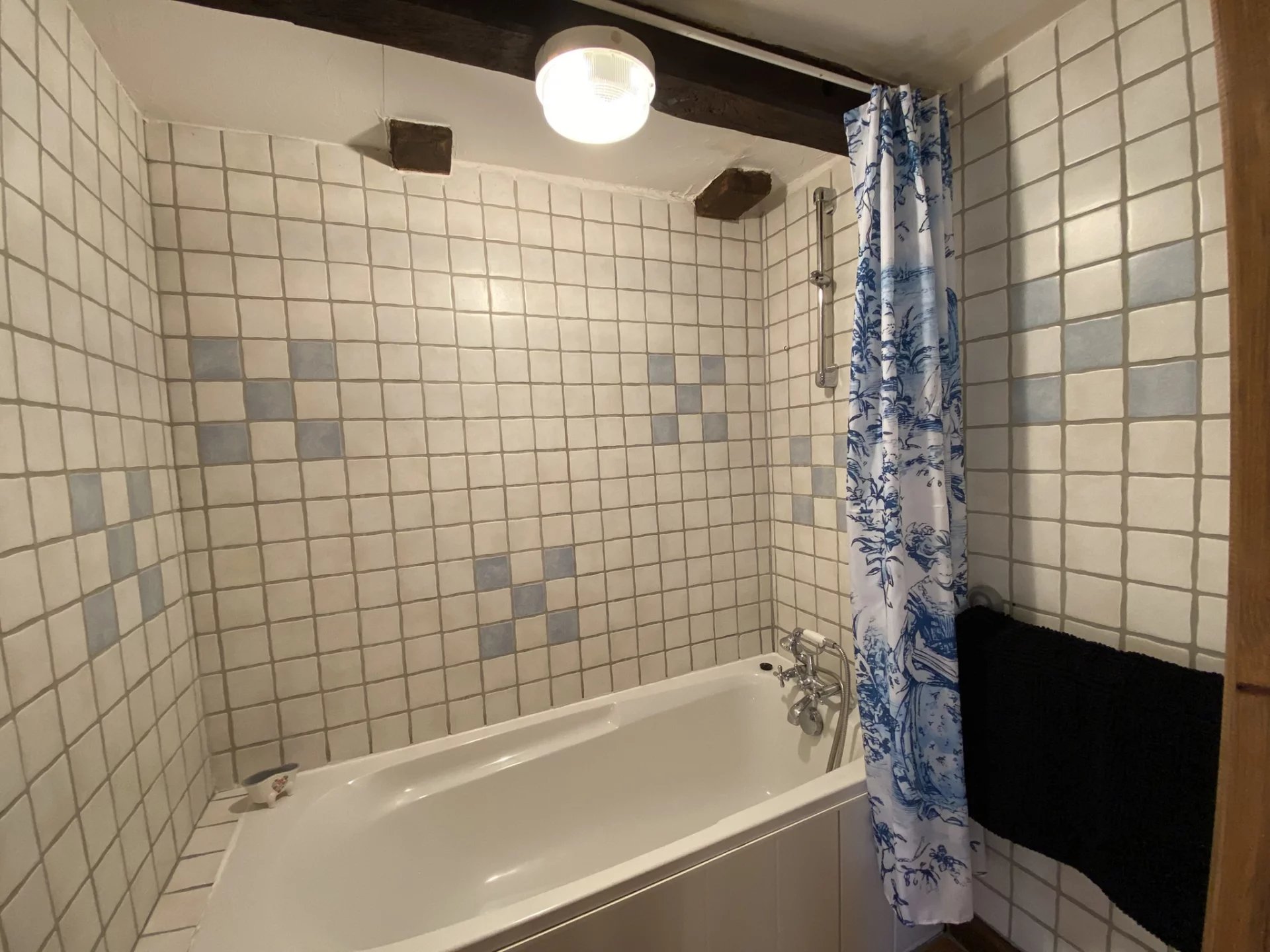 Two houses in a lovely hamlet of Bussière Poitevine with income potential, Limousin – France – BVI82392