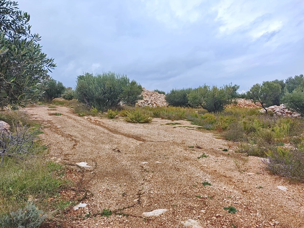 plot in Krk, Croatia – 103542