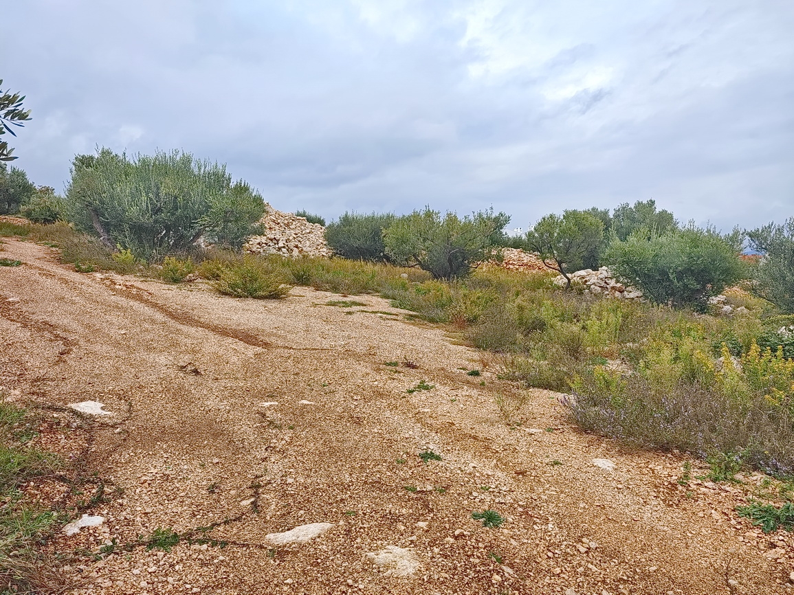 plot in Krk, Croatia – 103527