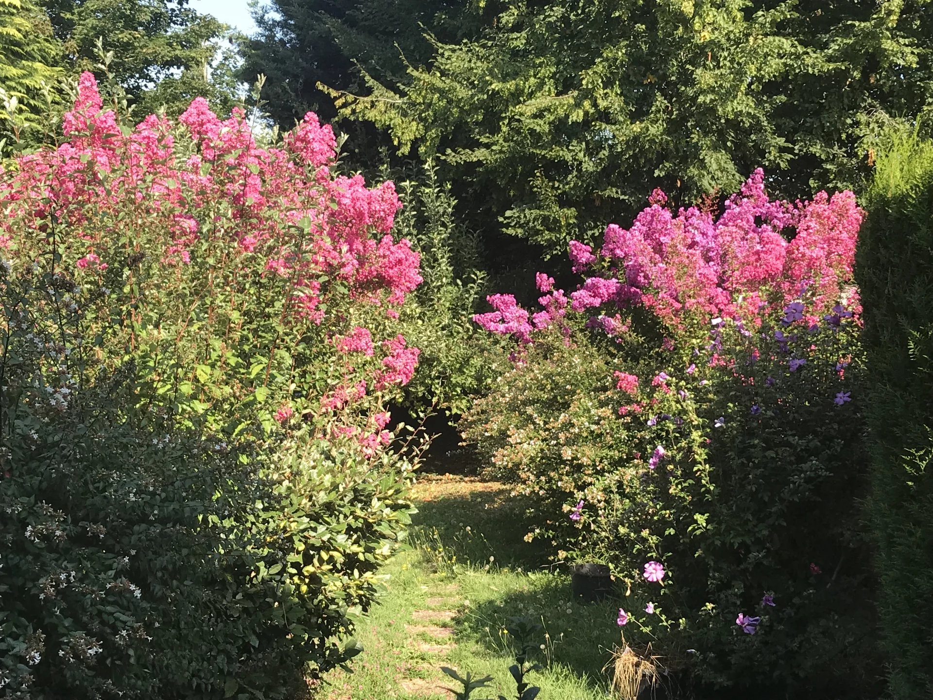 Country farmhouse in secluded spot, Limousin – France – BVI82687