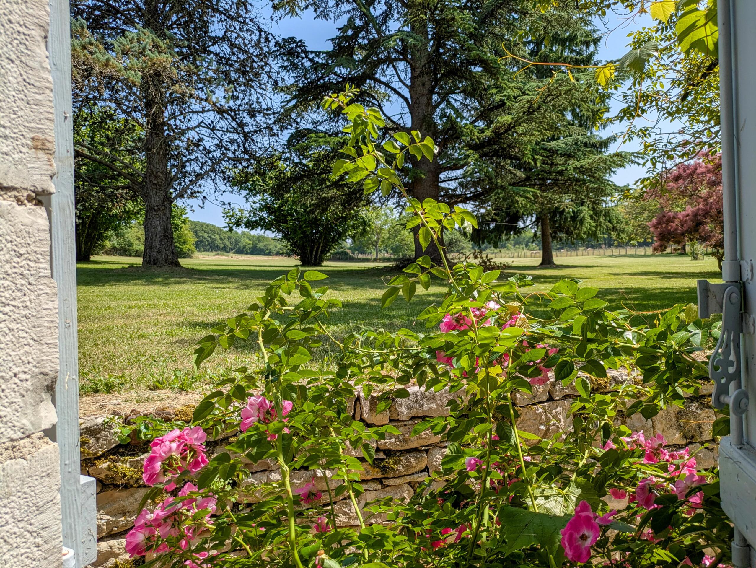 Chocolate box pretty stone cottage with guest accommodation., Midi-Pyrénées – France – BVI79361