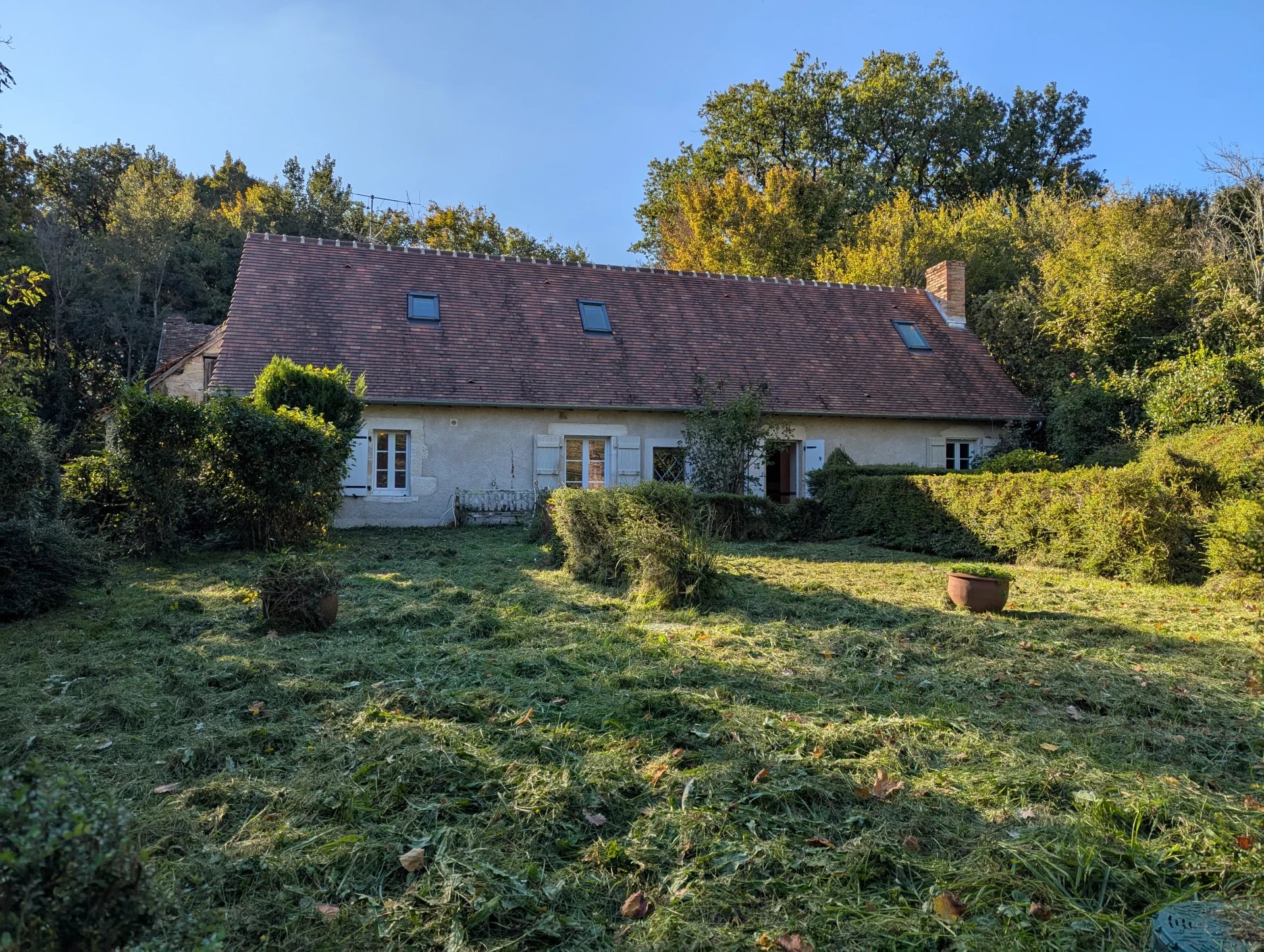 Character cottage surrounded by beautiful woodland, Poitou-Charentes – France – BVI83005