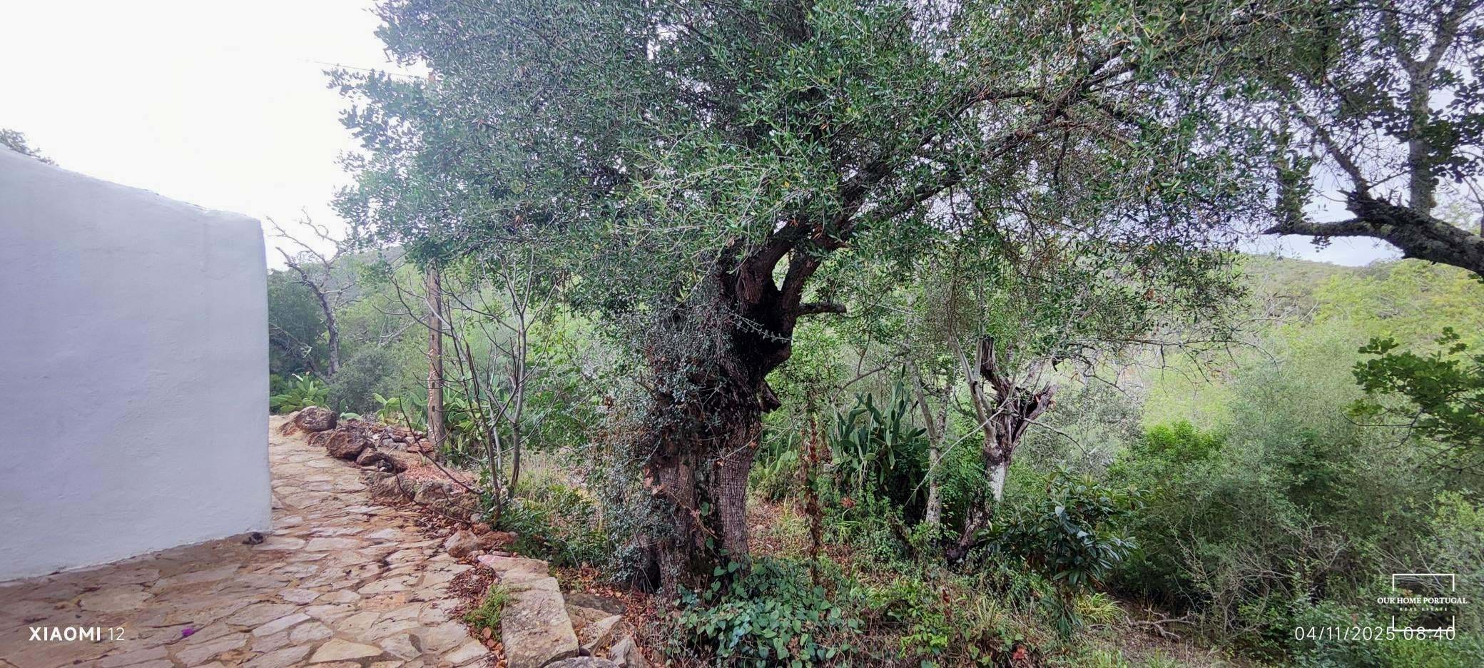 2 bedroom Villa in Querença, Algarve, Portugal – OHP-005-145