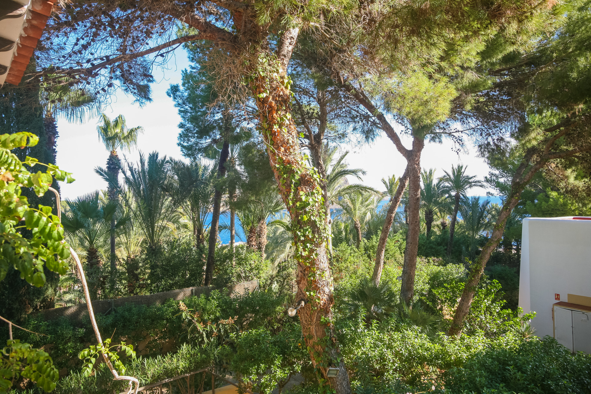 1 bedroom Apartment in Santa Eulalia Del Río, Islas Baleares, Spain – 428-04972P