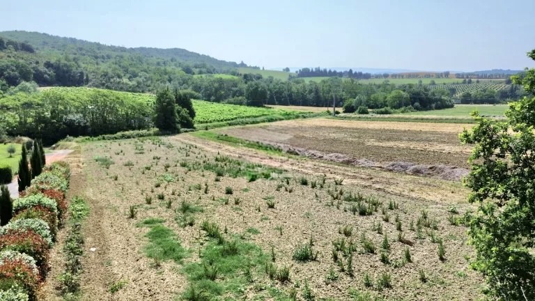 terrain in Saint Martin De Villereglan, Aude, France – CBB3017ED5174353