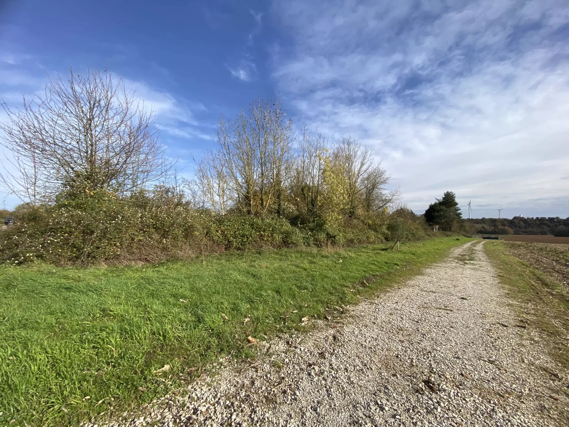 Plots of land in rural location, Poitou-Charentes – France – BVI83476