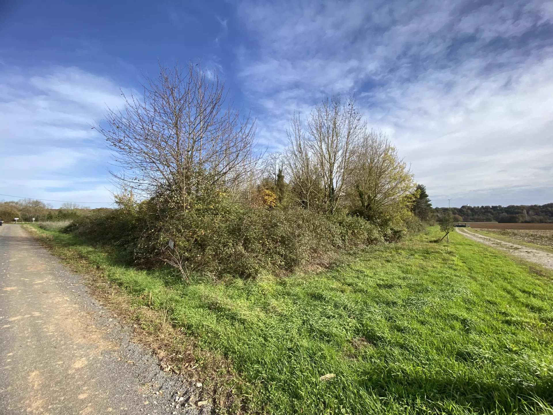 Plots of land in rural location, Poitou-Charentes – France – BVI83476