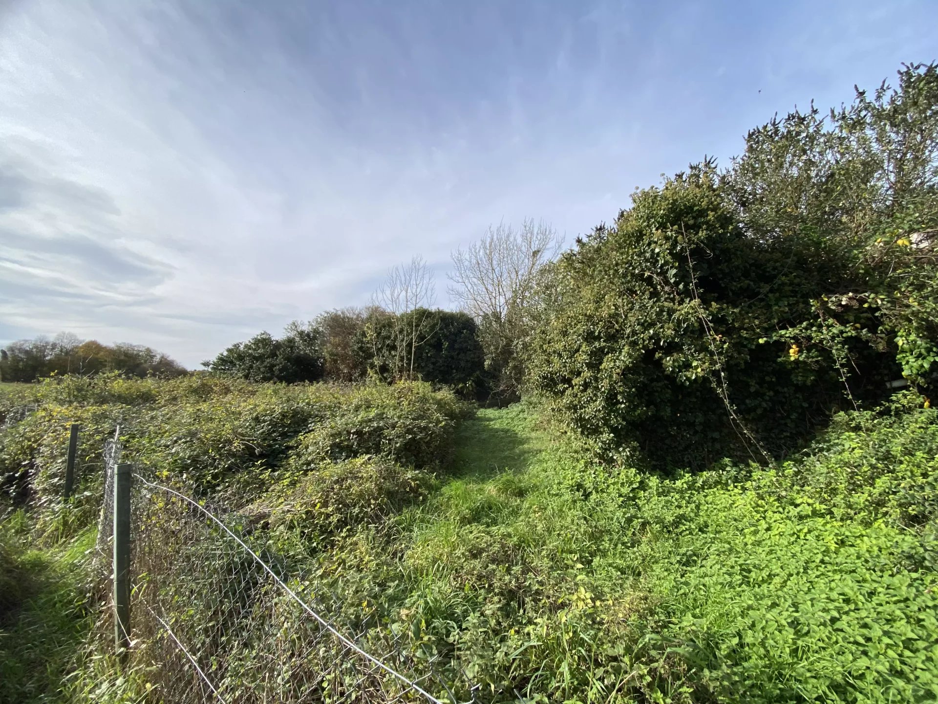Plots of land in rural location, Poitou-Charentes – France – BVI83476