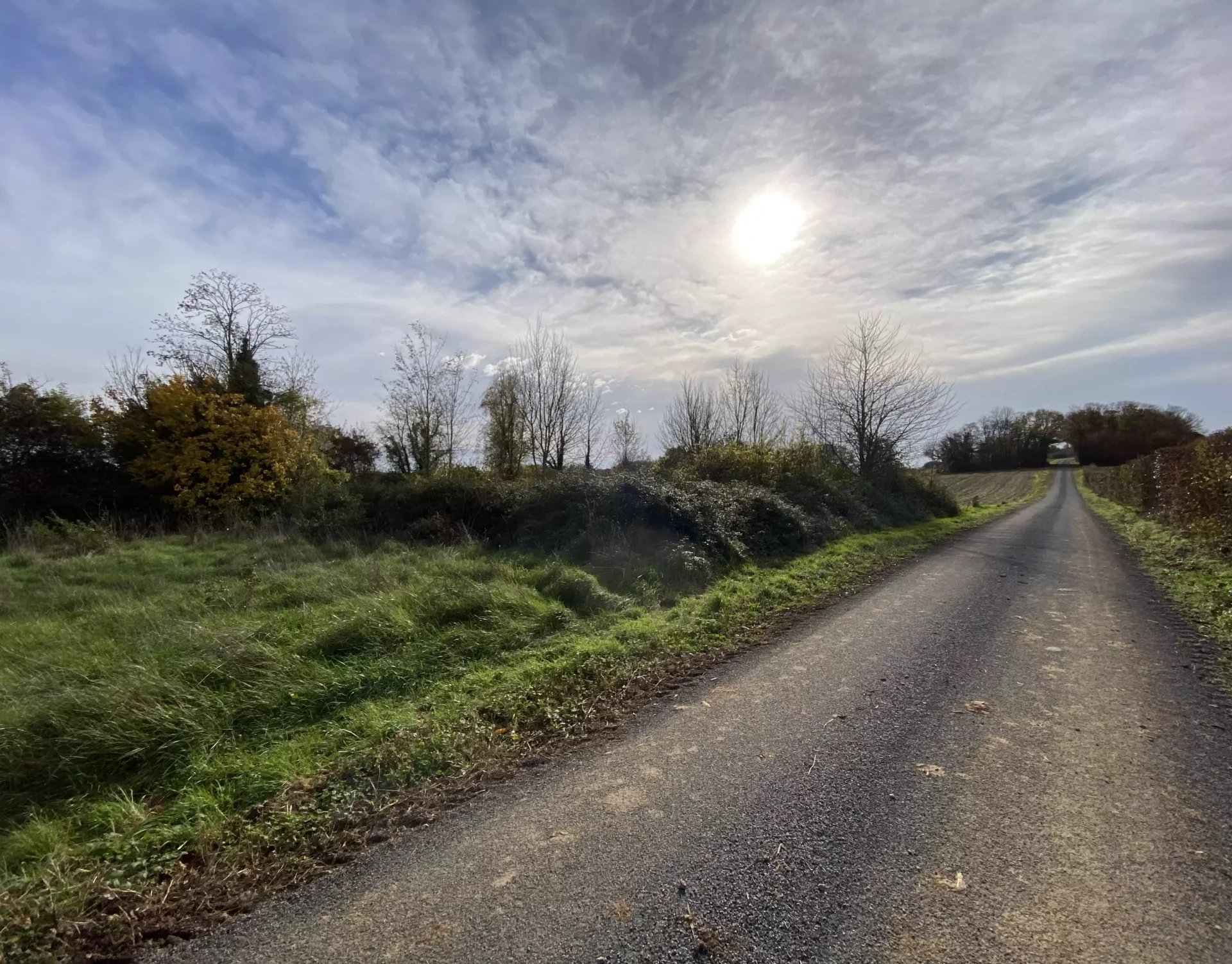 Plots of land in rural location, Poitou-Charentes – France – BVI83476