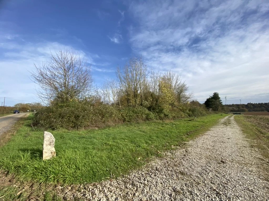 Plots of land in rural location, Poitou-Charentes – France – BVI83476