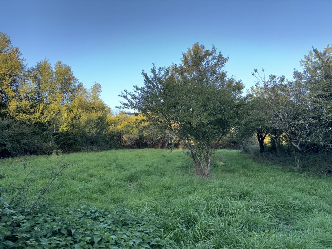 3 bedroom maison a renover in Saint Gourson, Charente, France