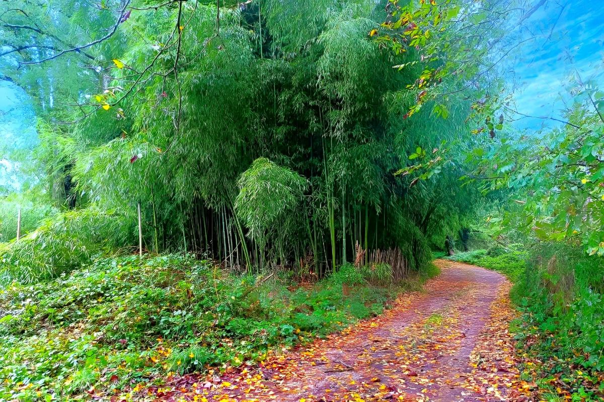 terrain in Lescure D’albigeois, Tarn, France – 1FF48836F26646CC