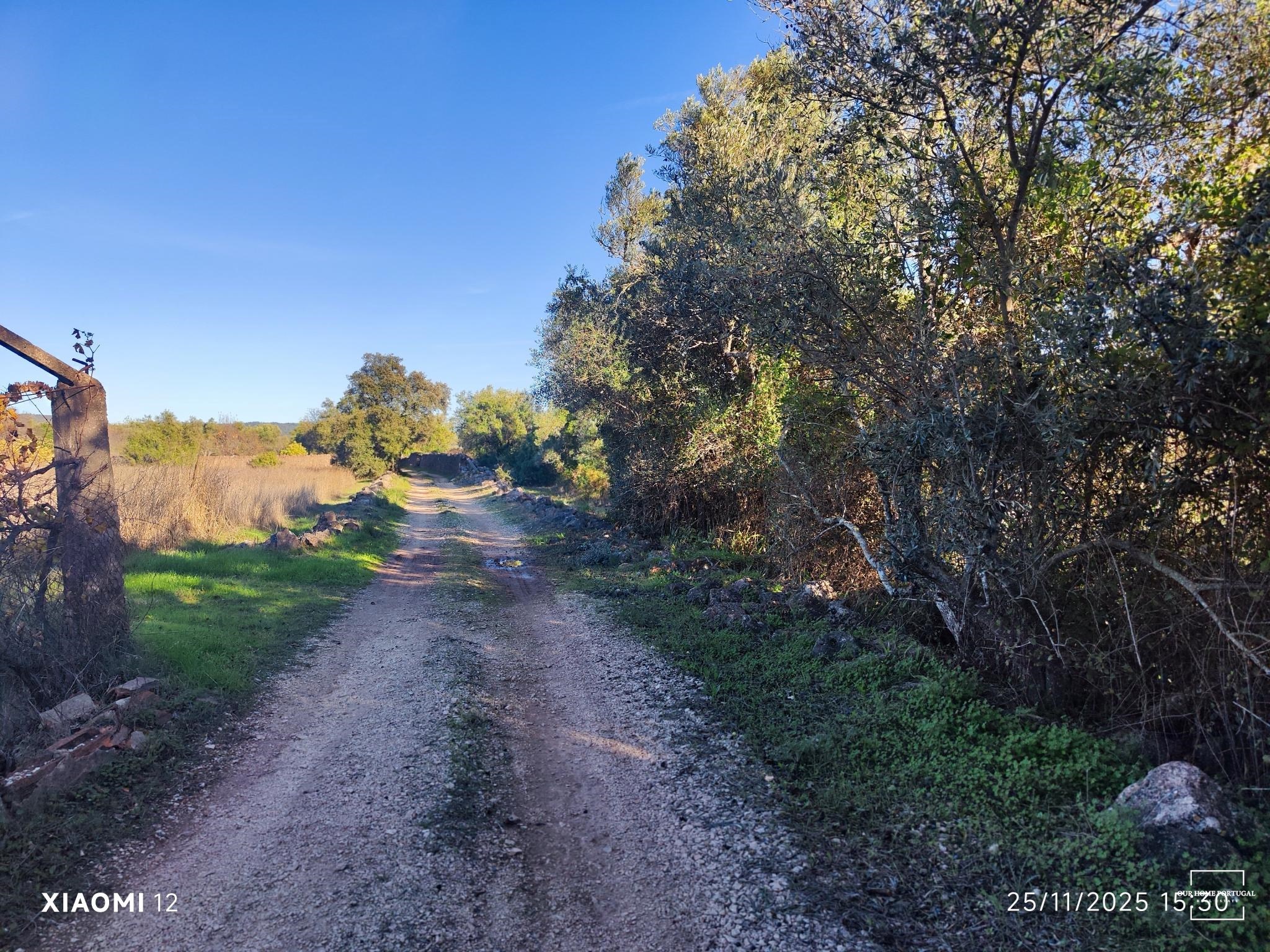 Land in Salir, Algarve, Portugal – OHP-005-146