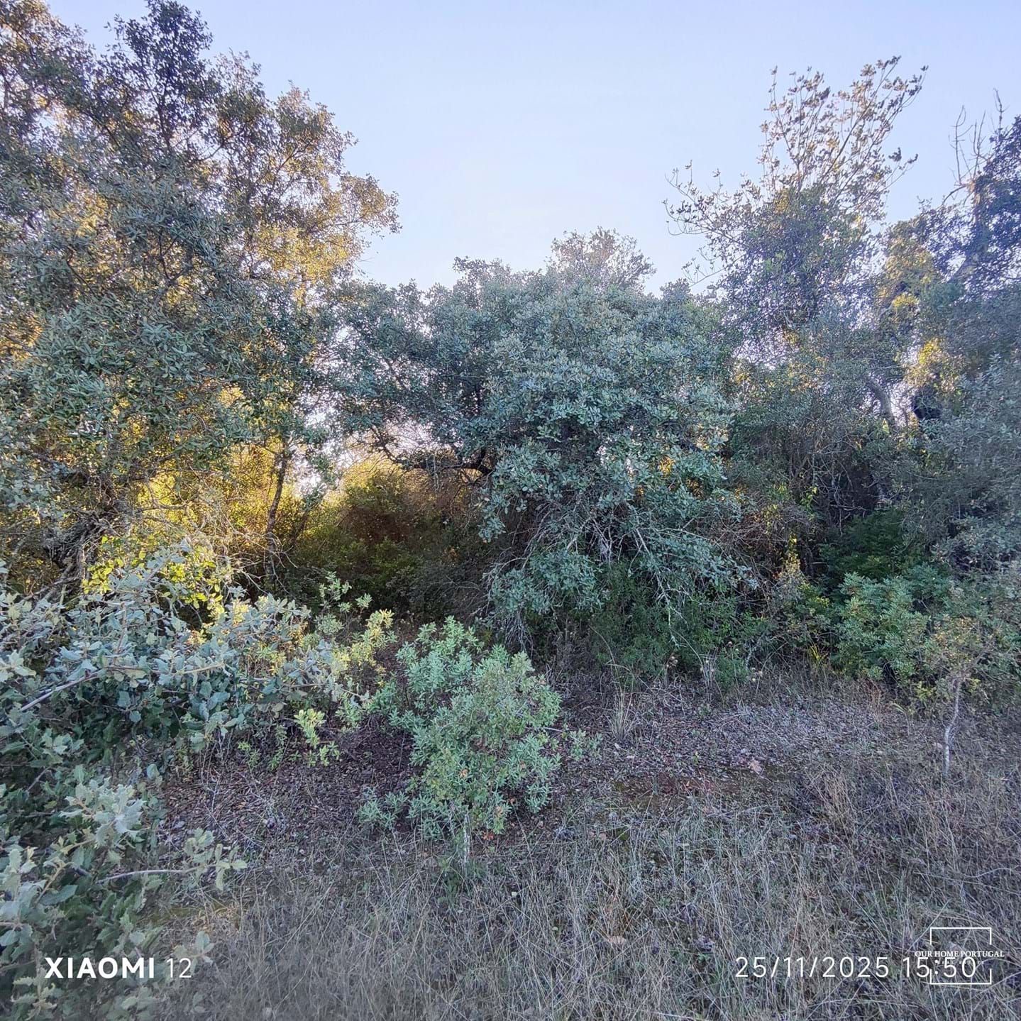 Land in Salir, Algarve, Portugal – OHP-005-146