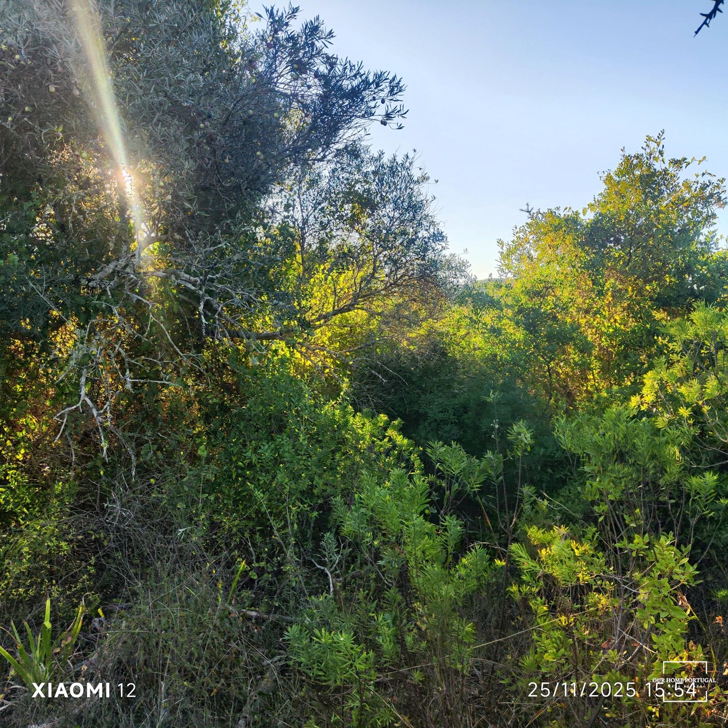Land in Salir, Algarve, Portugal – OHP-005-146