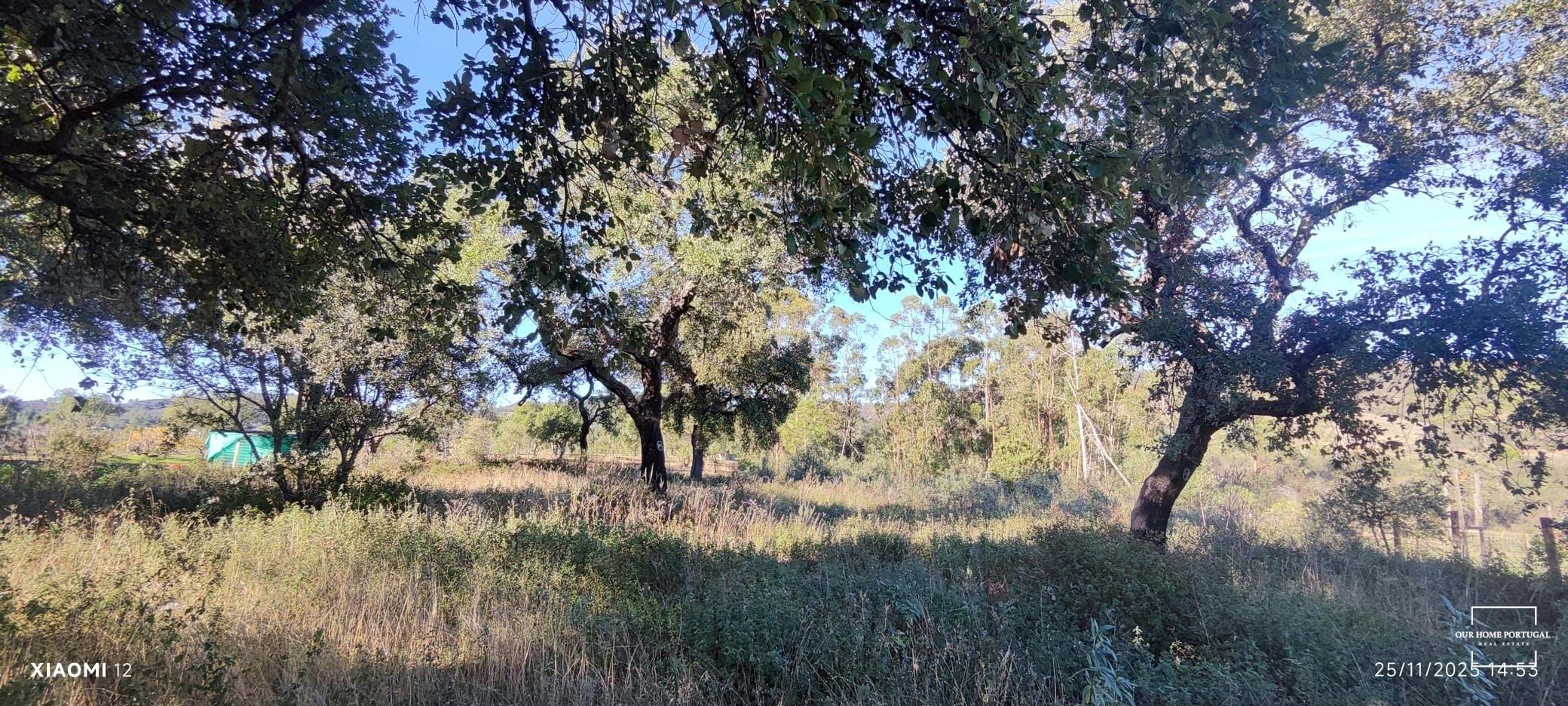 Land in Salir, Algarve, Portugal – OHP-005-147