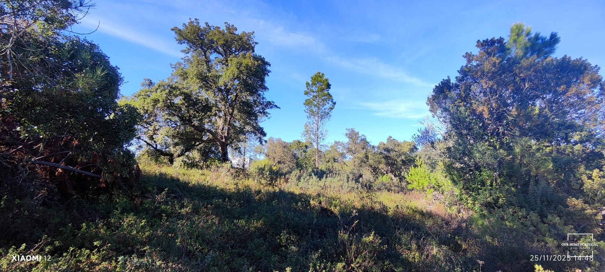 Land in Salir, Algarve, Portugal – OHP-005-147