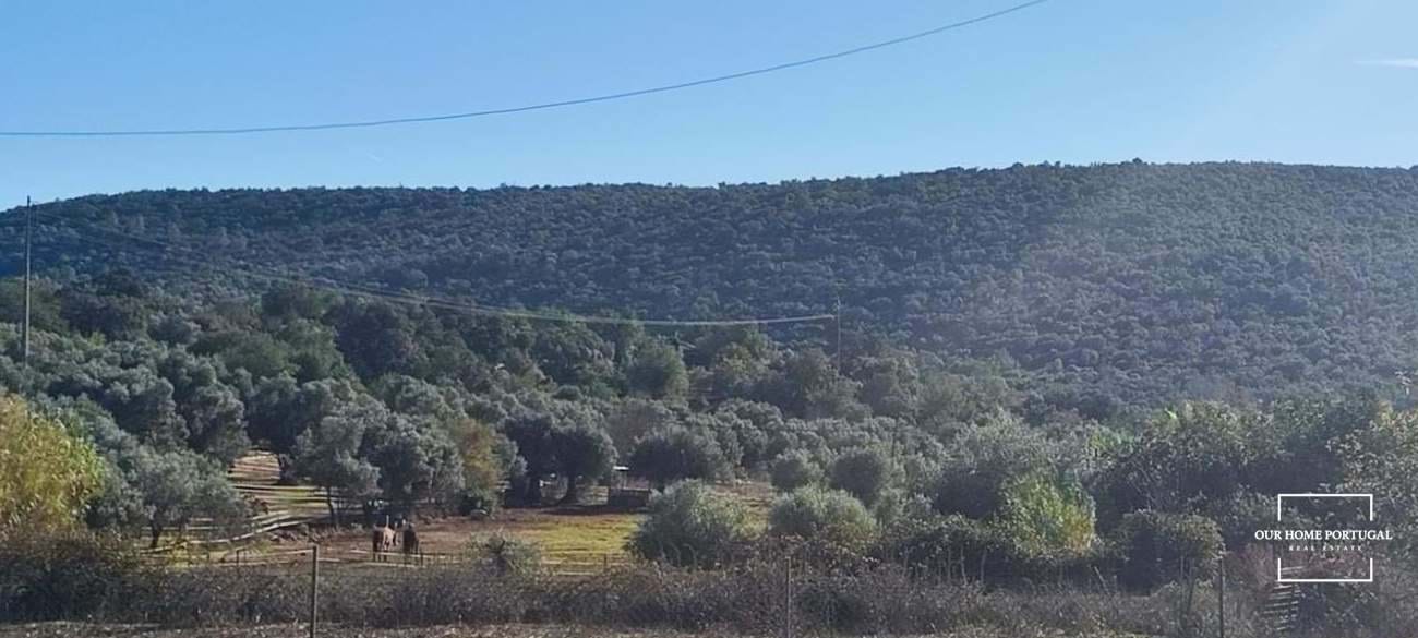 Land in Salir, Algarve, Portugal – OHP-005-147