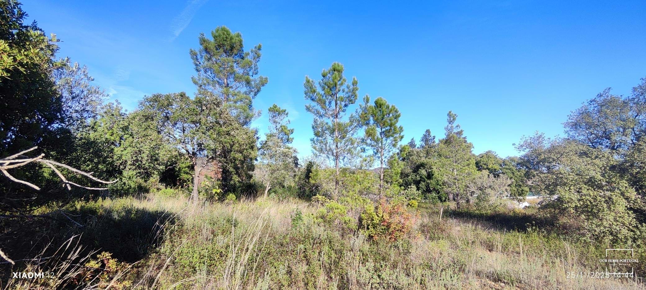 Land in Salir, Algarve, Portugal – OHP-005-147