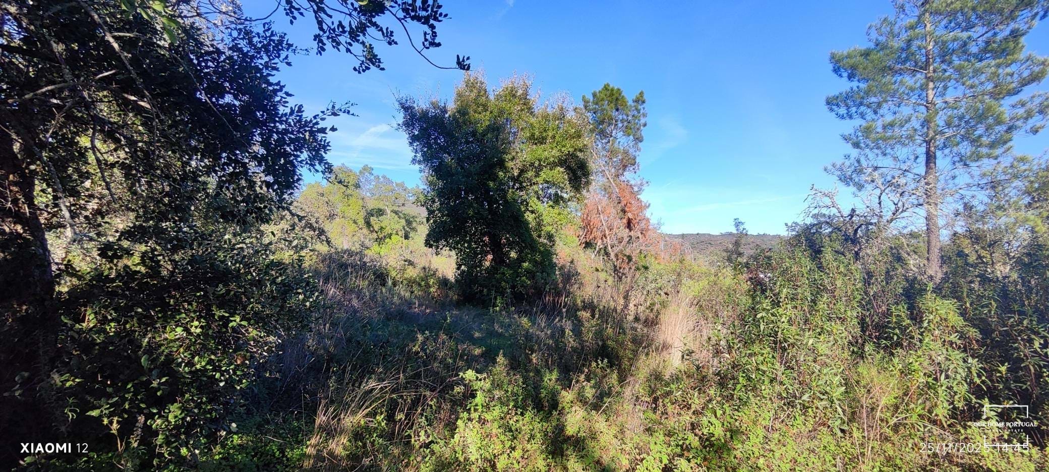 Land in Salir, Algarve, Portugal – OHP-005-147