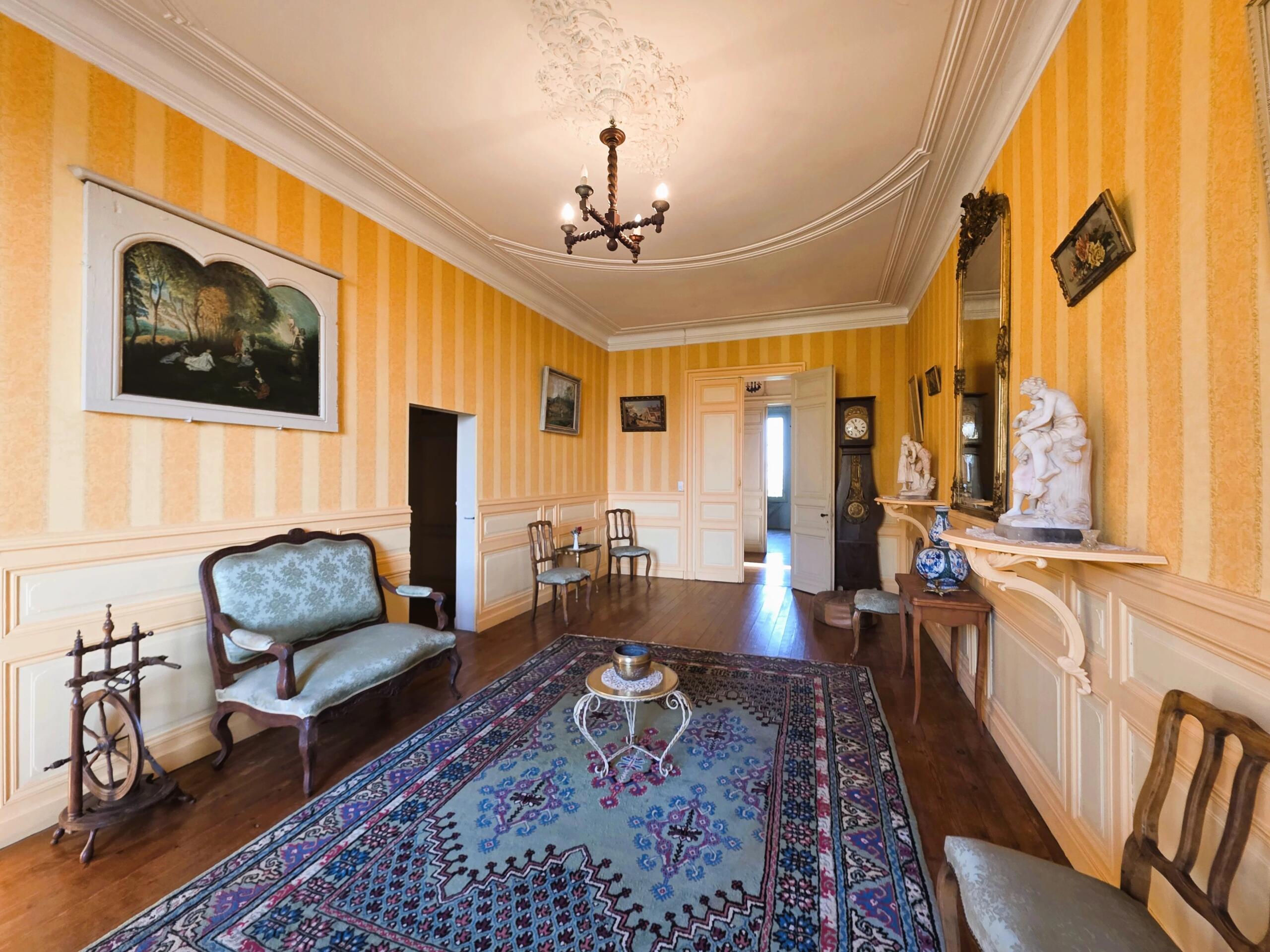 Vineyard Château with Strong Development Potential Close to Bordeaux, Aquitaine – France – BVI83075