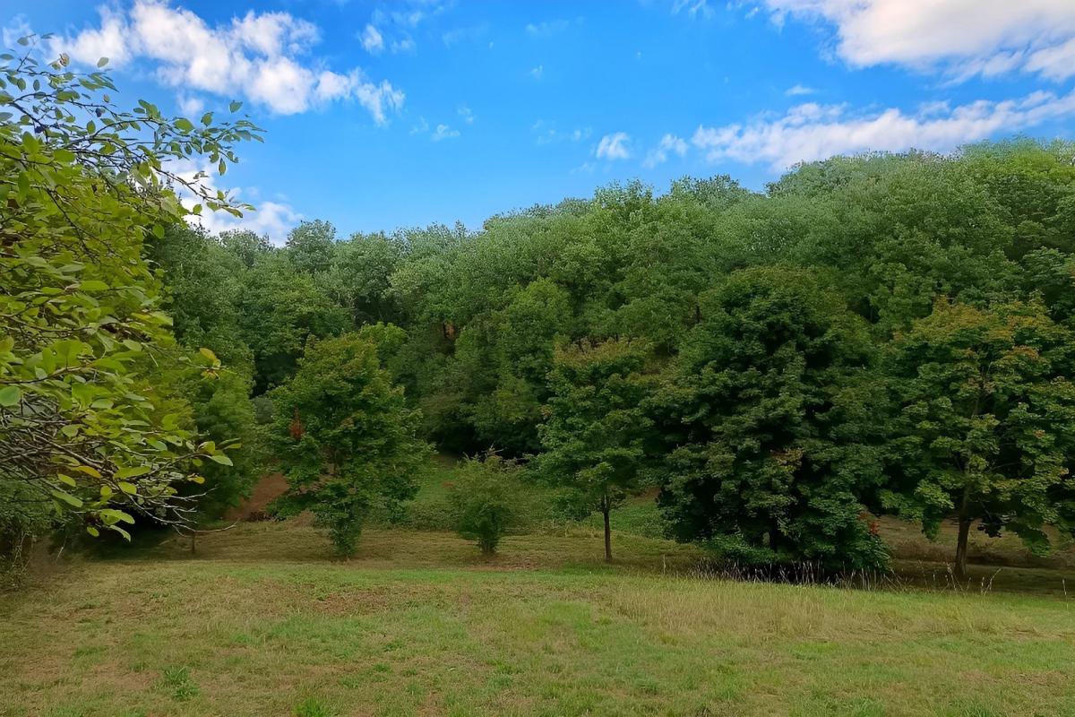 terrain agricole in Carmaux, Tarn, France – 52195972A5574444