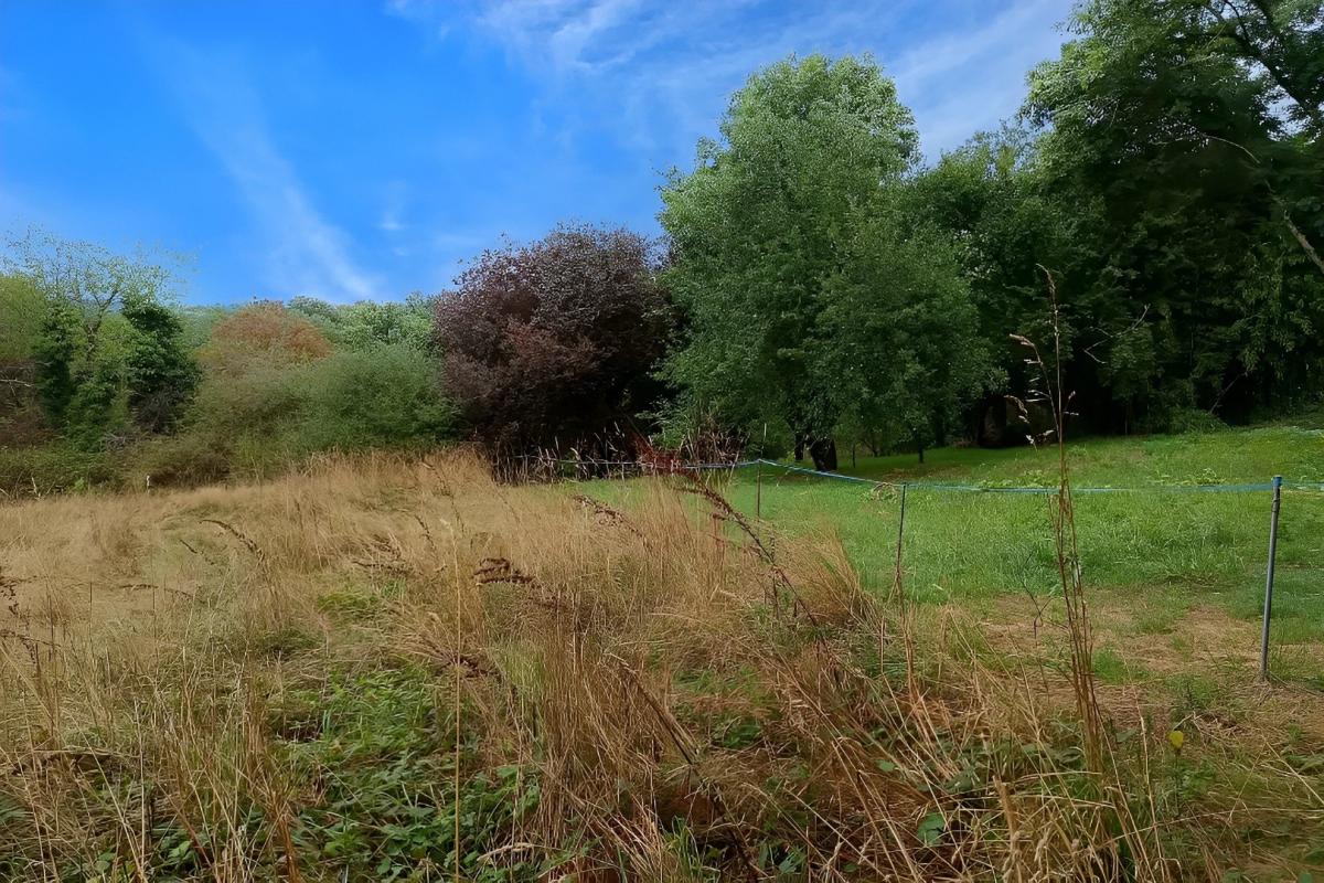 terrain agricole in Carmaux, Tarn, France – 52195972A5574444