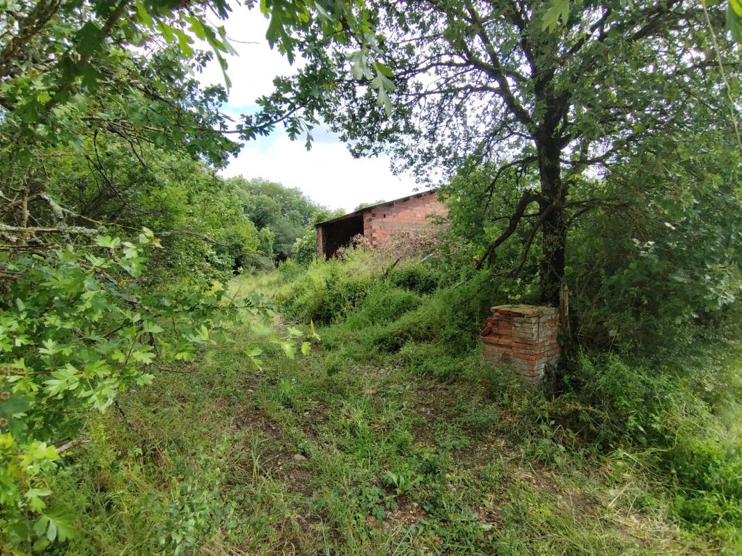 maison in Canals, Tarn-et-Garonne, France – A2994BCCD0DC4E9E