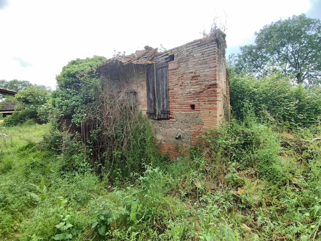 maison in Canals, Tarn-et-Garonne, France – A2994BCCD0DC4E9E