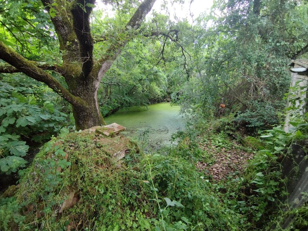 maison in Canals, Tarn-et-Garonne, France – A2994BCCD0DC4E9E