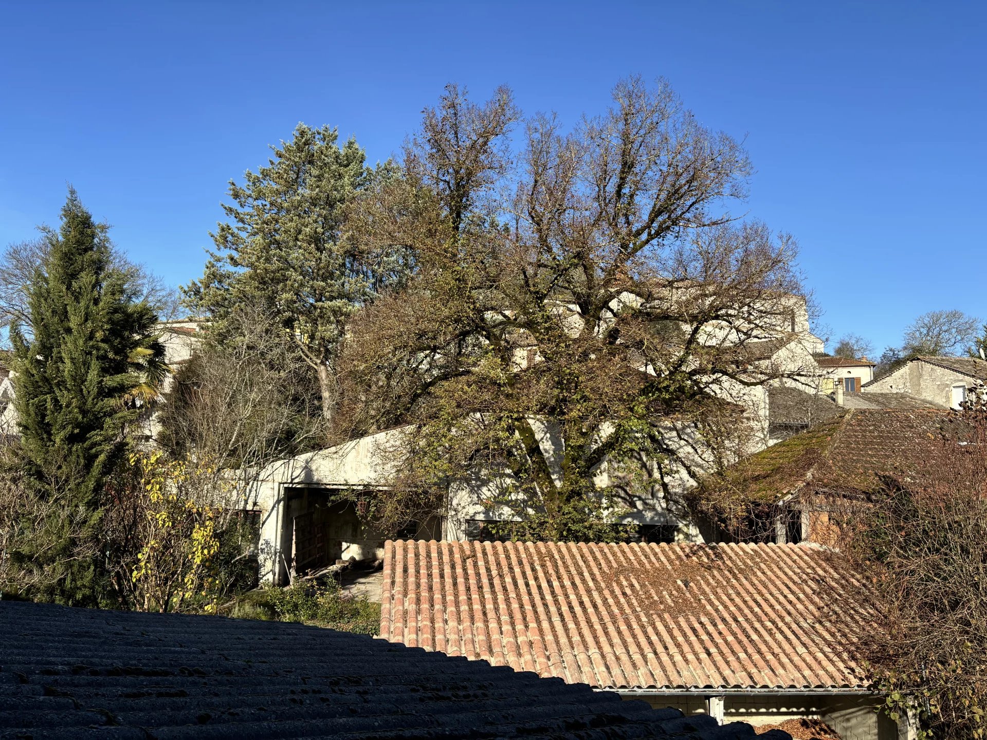 House and business in Montaigu-de-Quercy, Midi-Pyrénées – France – BVI83517