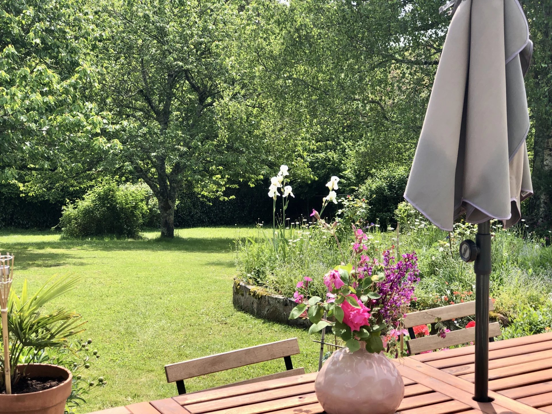 Beautiful character cottage with panoramic country views, Poitou-Charentes – France – BVI80412