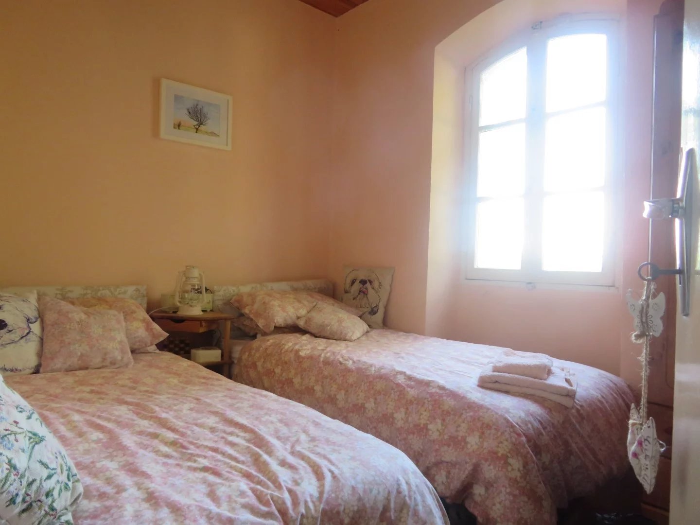Detached Character Cottage in a Beautiful Location, Languedoc-Roussillon – France – BVI83046