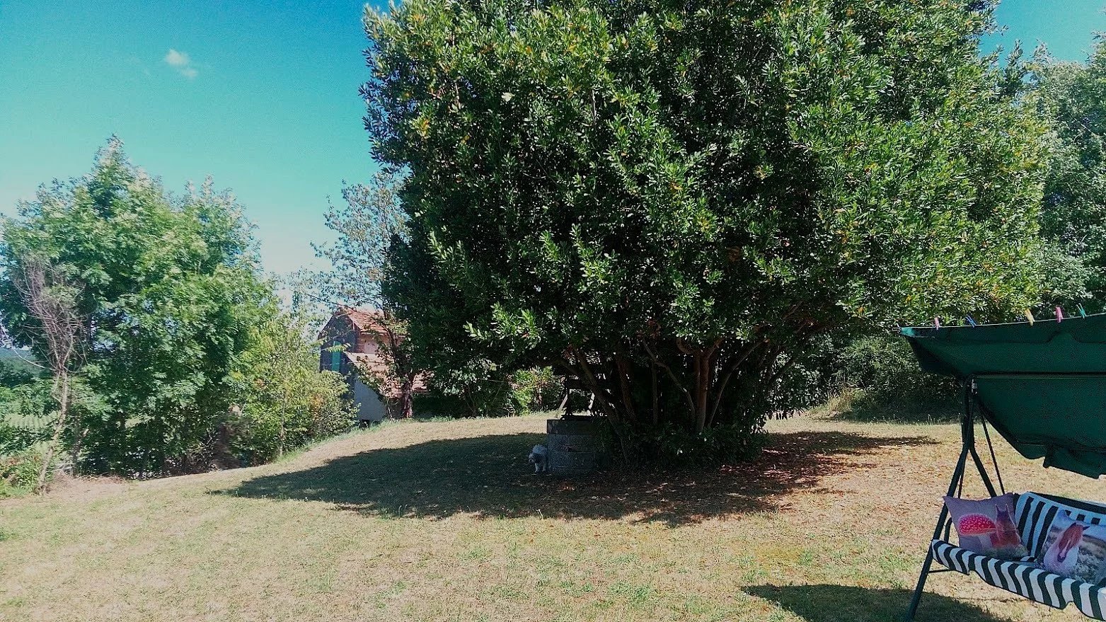 Detached Character Cottage in a Beautiful Location, Languedoc-Roussillon – France – BVI83046