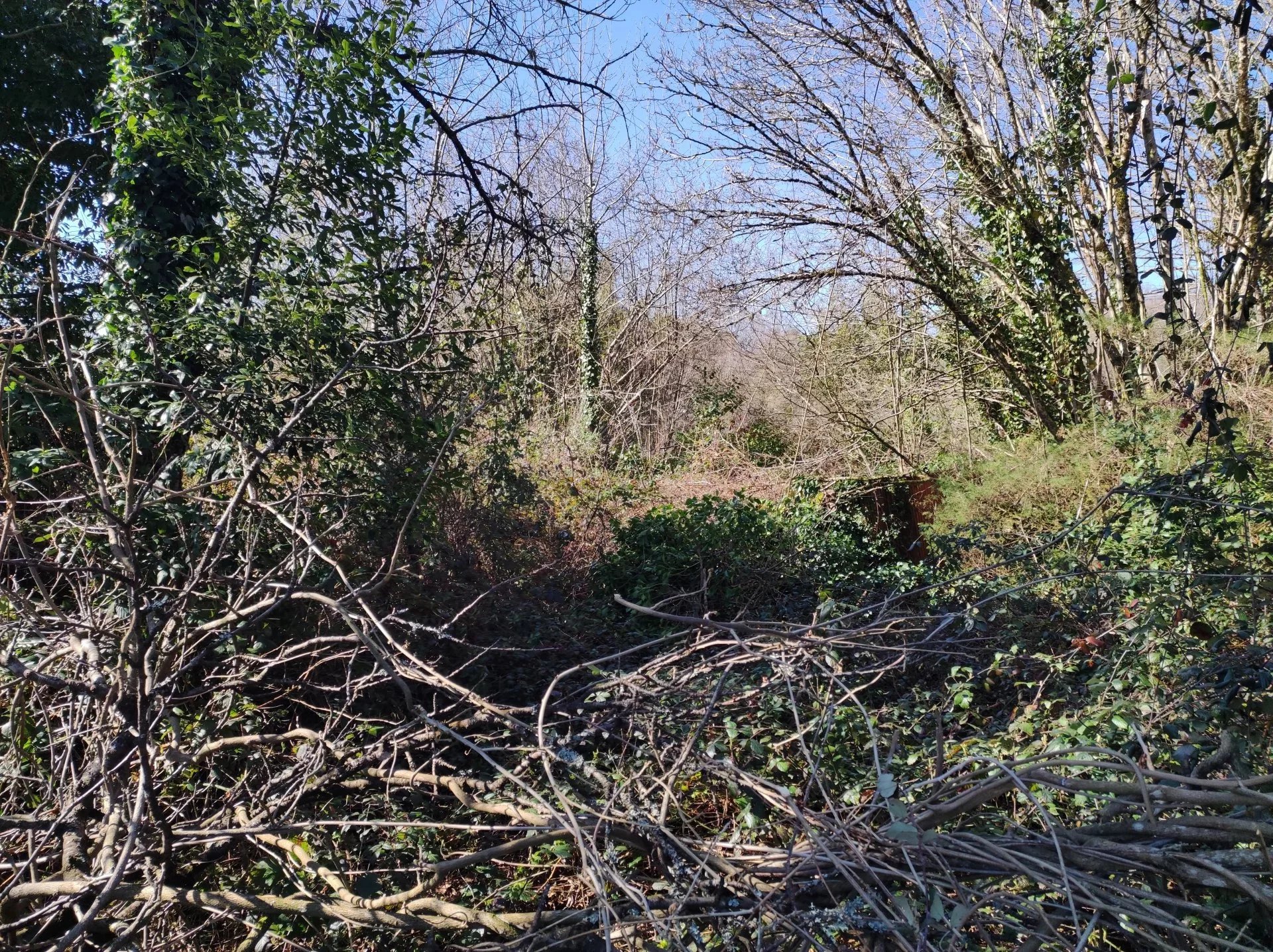 Large Building Plot 4 minutes from Piégut Pluviers, Aquitaine – France – BVI78578