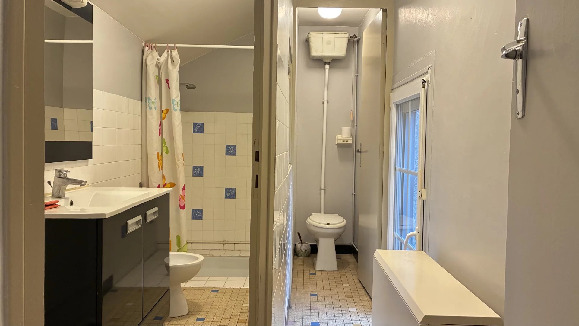 Great townhouse in the heart of the old town, Montmorillon, Poitou-Charentes – France – BVI83748