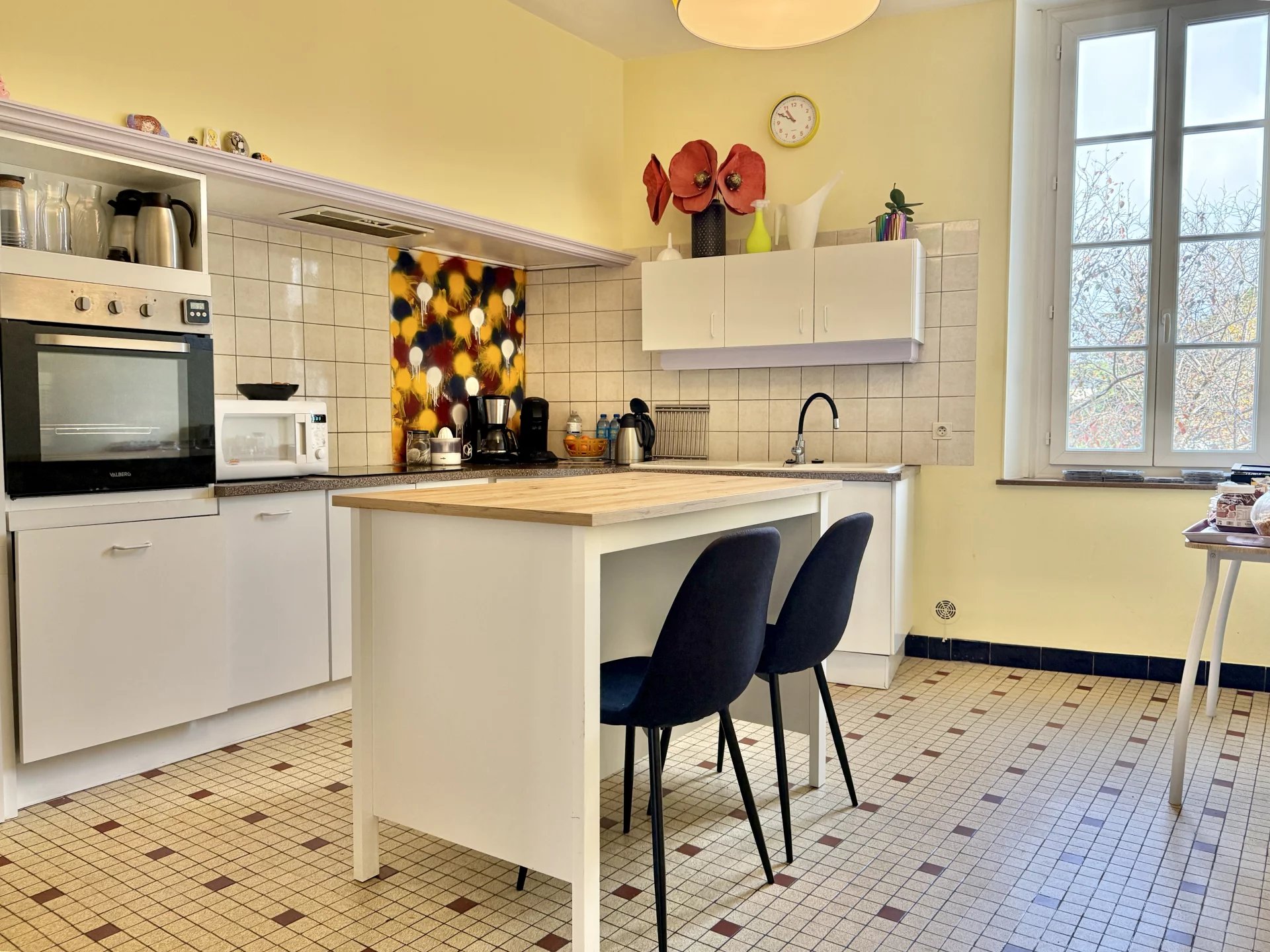 Versatile, character property in ideal situation, Languedoc-Roussillon – France – BVI83661