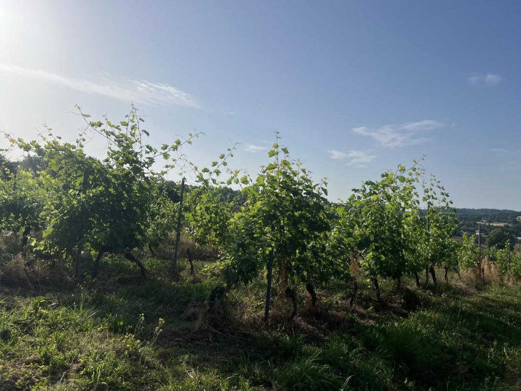 maison in Puy D’arnac, Corrèze, France – 02642AF26B754E69