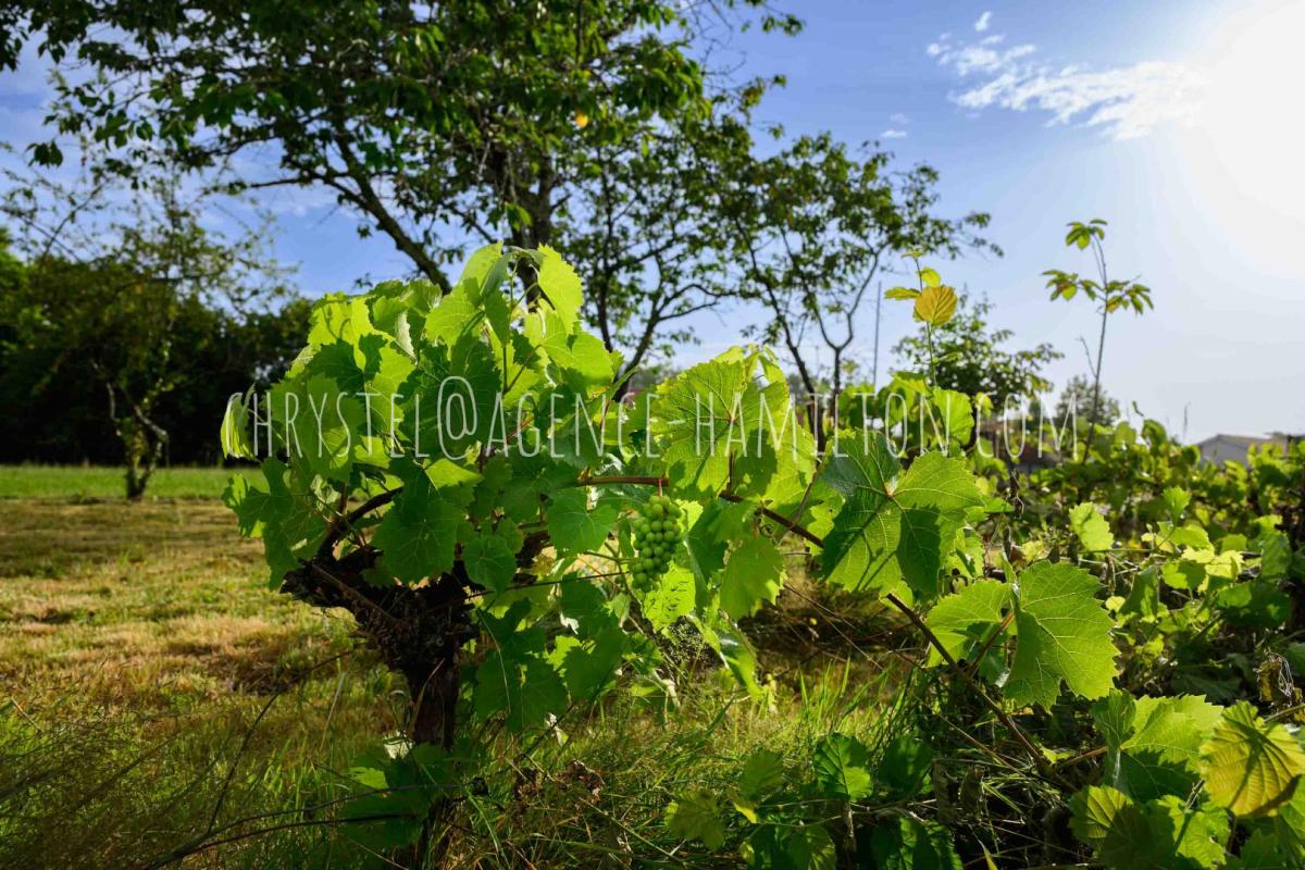 terrain in Port De Lanne, Landes, France – 0653AB91790B4F91