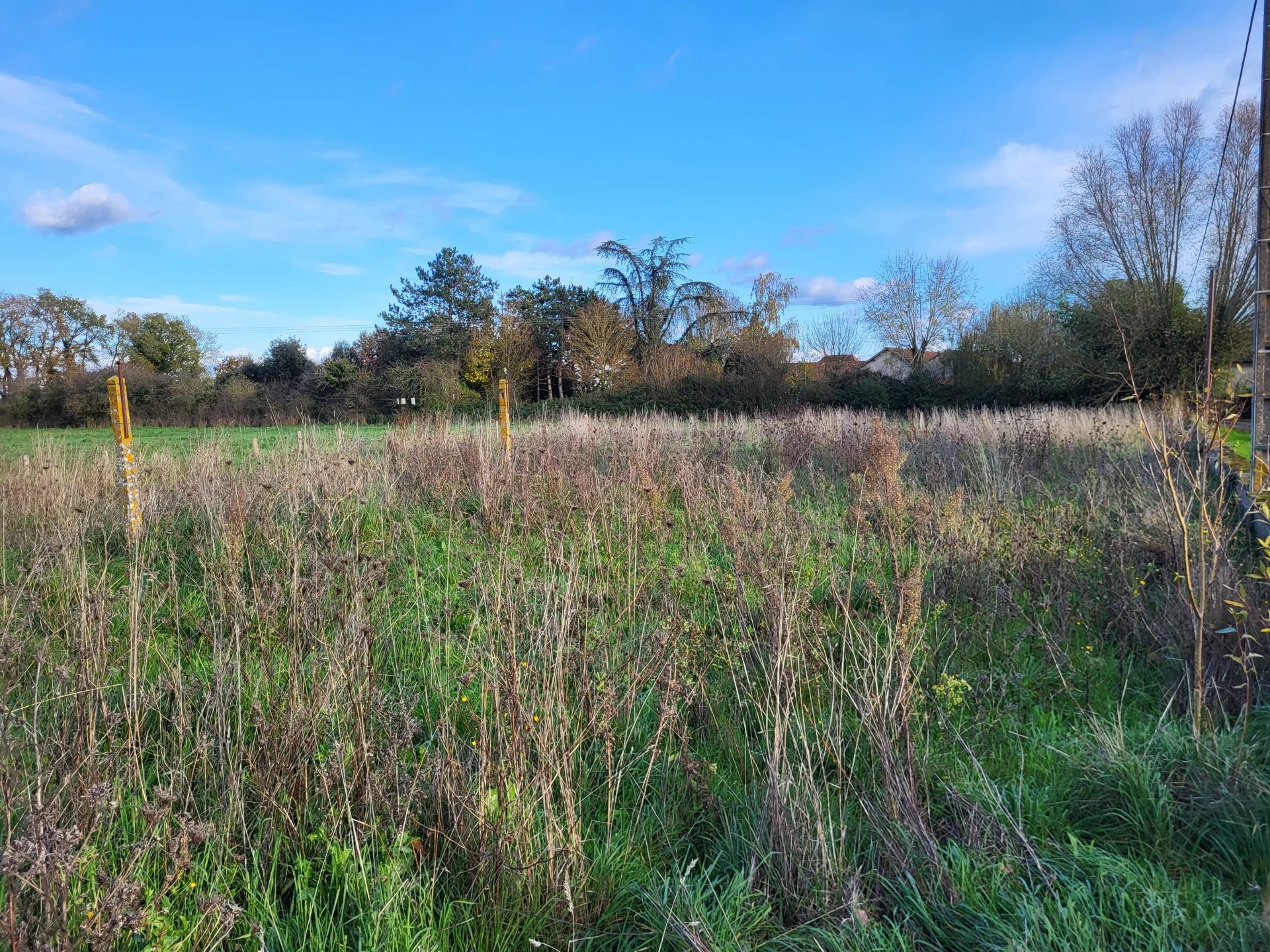 House, large outbuildings and 1.4ha of land, close to Saint Savin, Poitou-Charentes – France – BVI82359